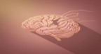 Gaslighting Là Gì? Dấu Hiệu & Cách Gen Z Nhận Biết Thao Túng Tâm Lý Trong Mối Quan Hệ