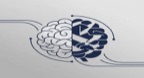 MBTI và cách bạn đối diện với những lời chỉ trích, thất bại trong cuộc sống
